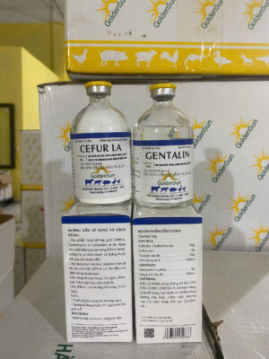 GD001 CẶP TIÊM 250ML