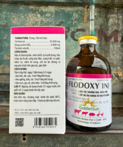 FLODOXY 100ML