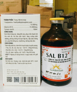 SAL B12 15-15 100ML