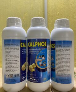 CALPHOS