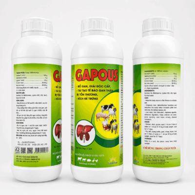GAPOUS GAPOUS
