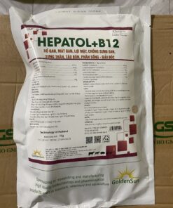 HEPATOL + B12