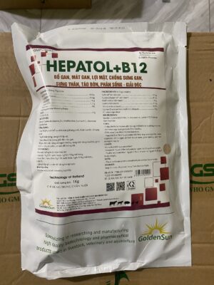 HEPATOL + B12