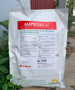 AMPICOLI 10%