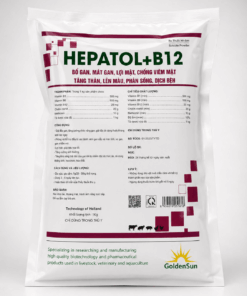 HEPATOL + B12