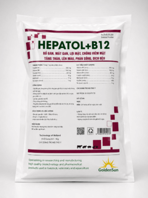 HEPATOL + B12 HEPATOL + B12