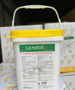 GENDOX 60