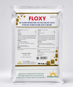 FLOXY 20-20