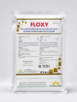 FLOXY 20-20