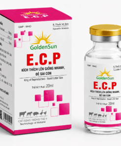 ECP 20ML
