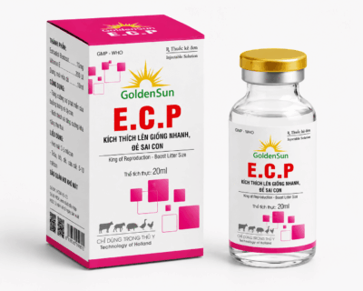 ECP 20ML