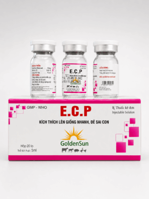 ECP 5ML