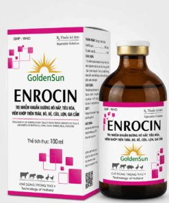 ENROCIN 10% DUNG DỊCH 100ML