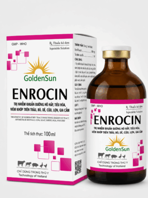 ENROCIN 10% DUNG DỊCH 100ML ENROCIN 10% DUNG DỊCH 100ML